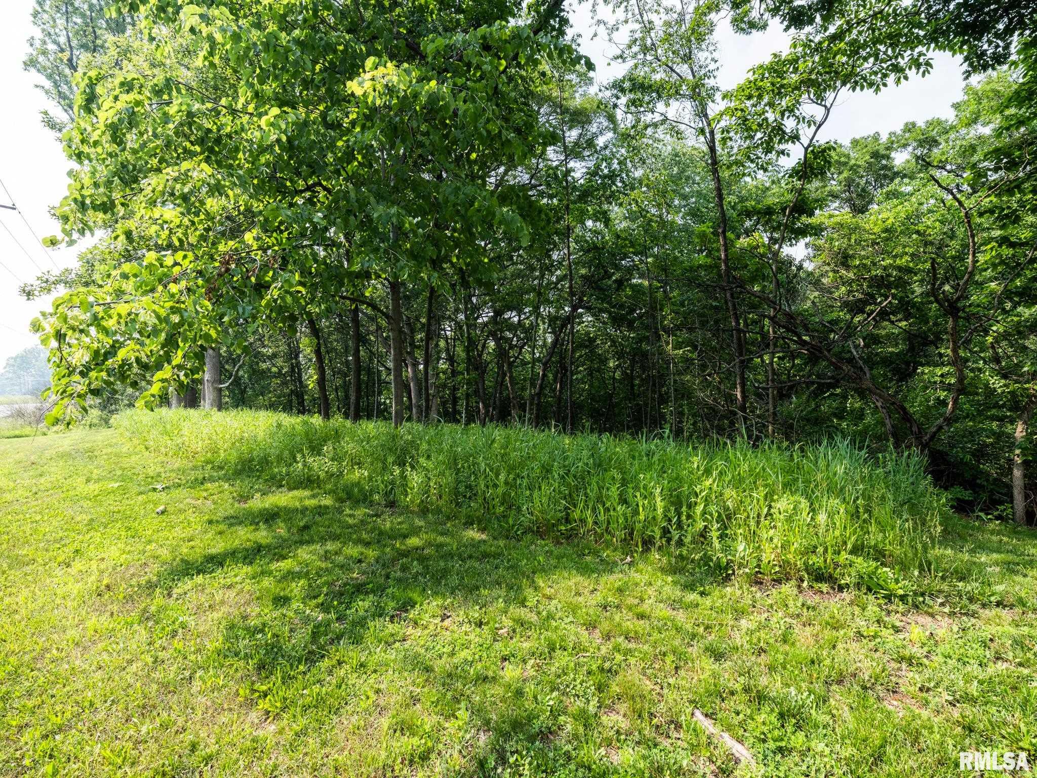3041 Zion Oaks Road, Pekin, Illinois image 8