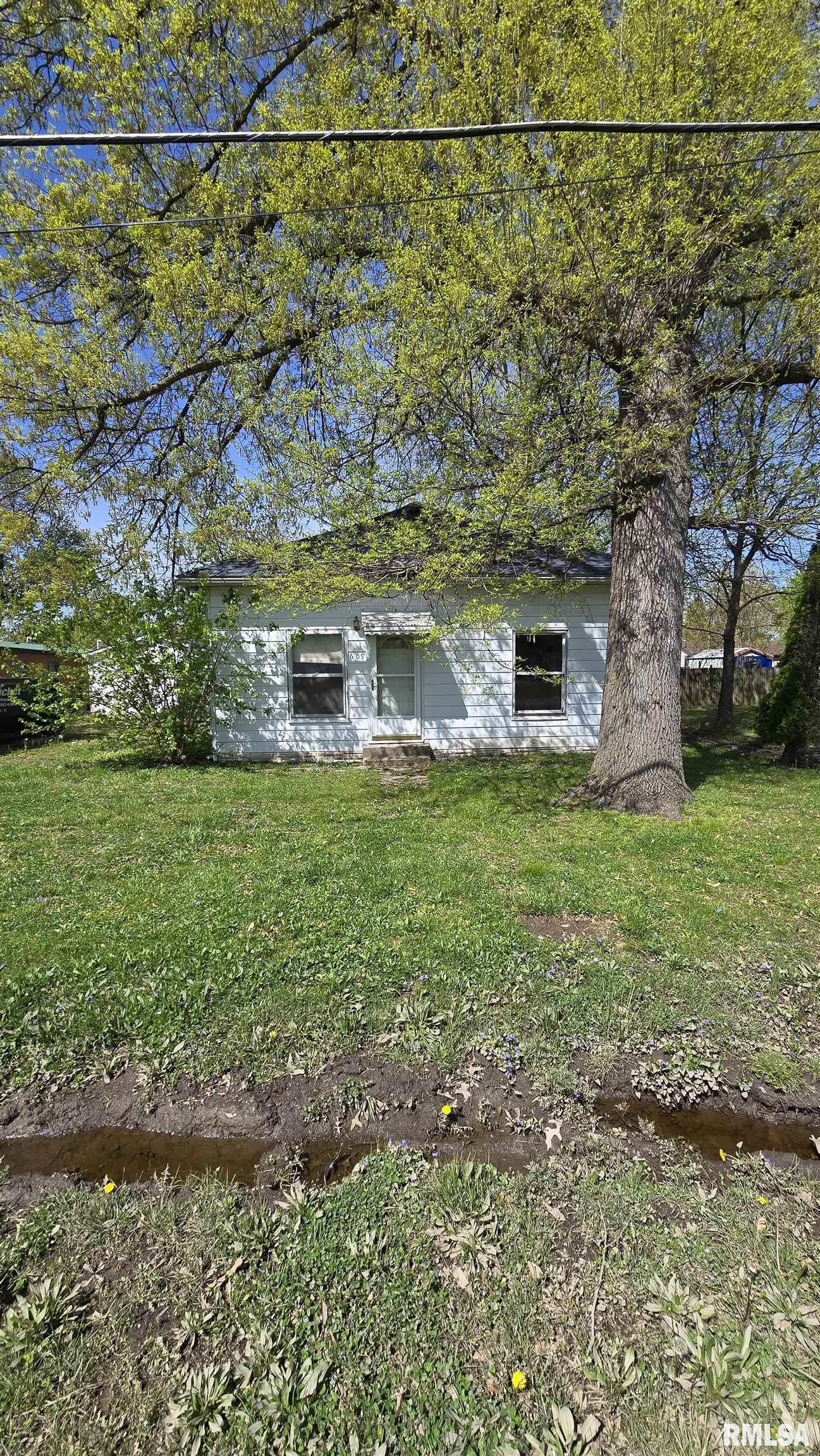 609 N Locust Street, Sesser, Illinois image 2