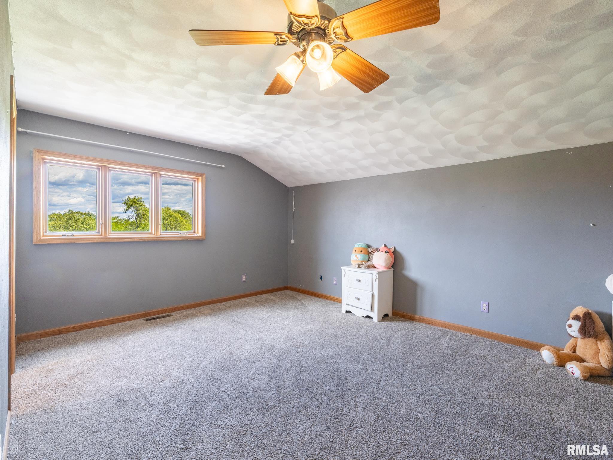 26620 Schuck Road, Washington, Illinois image 34