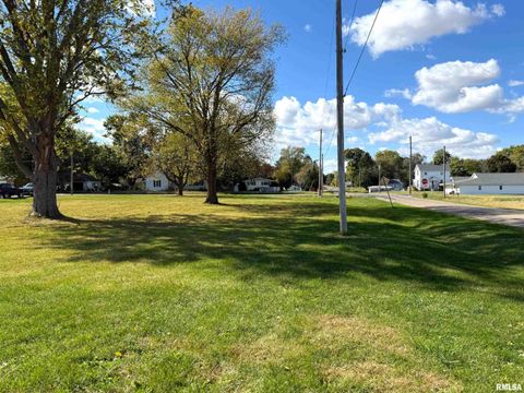 Vacant Land For Sale - 237 N Union Street<br/> Wataga, IL 61488