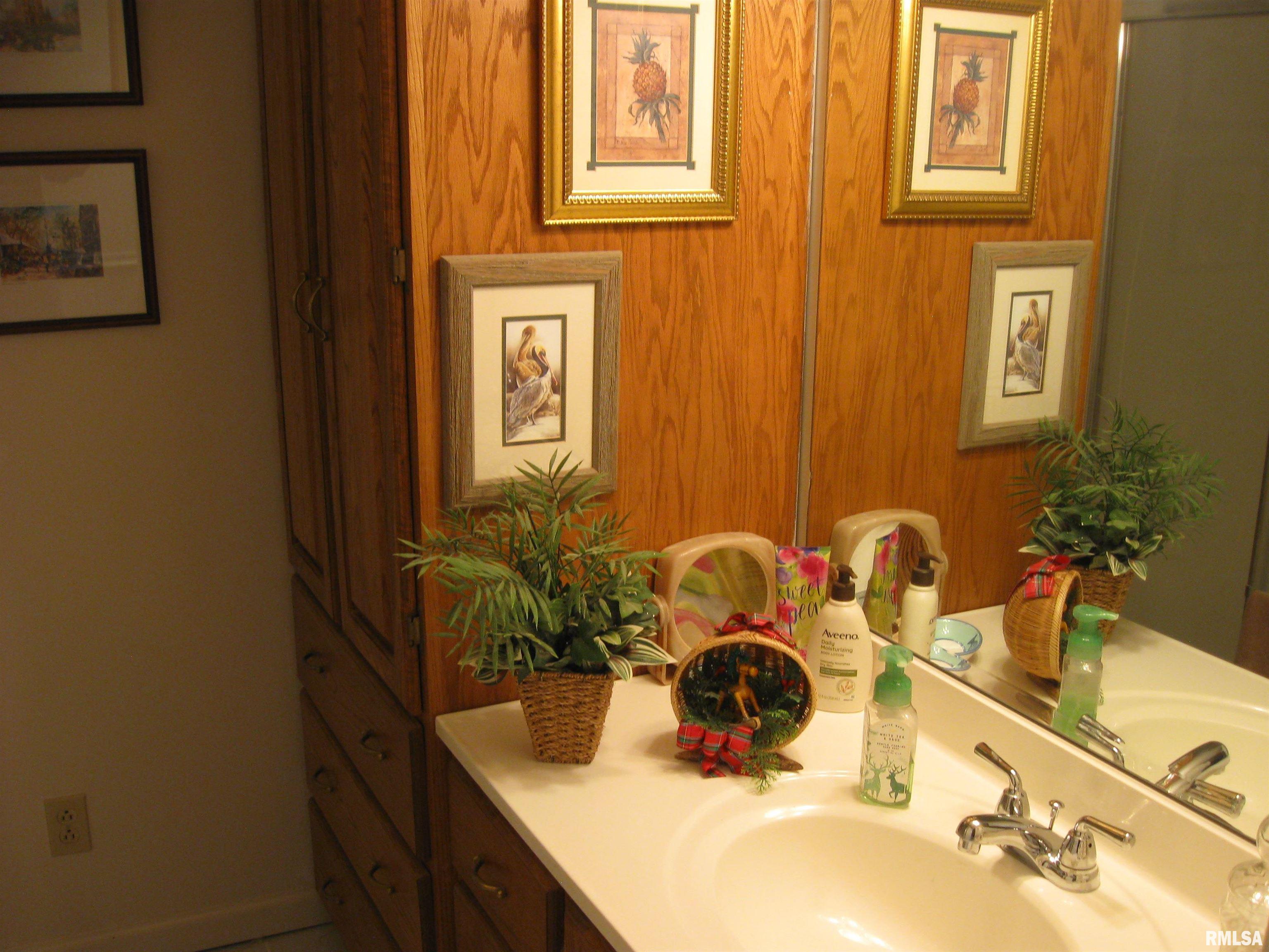 22483 Railroad Street, Olive Branch, Illinois image 15