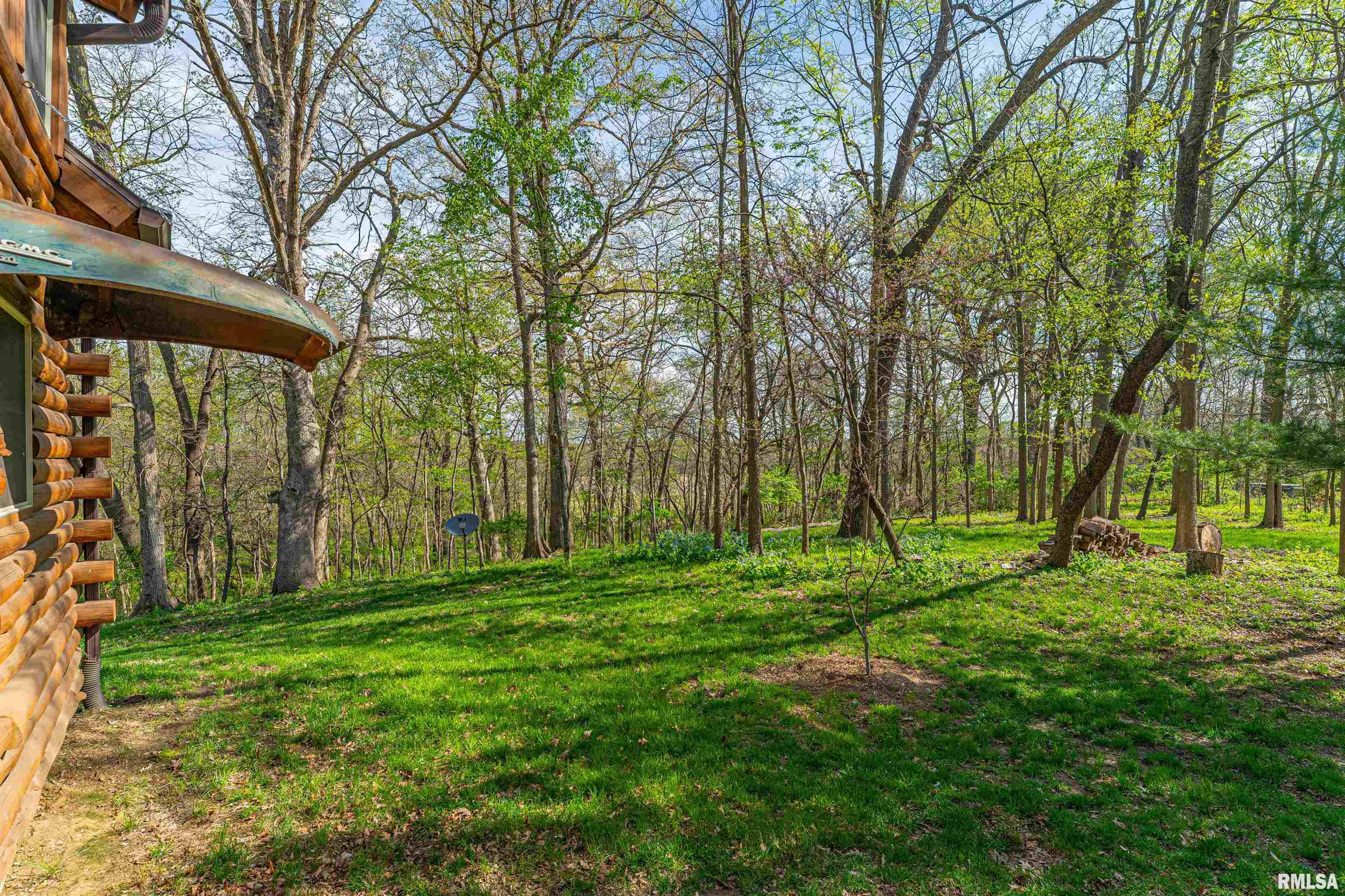 310 1171st Street, Middletown, Illinois image 31