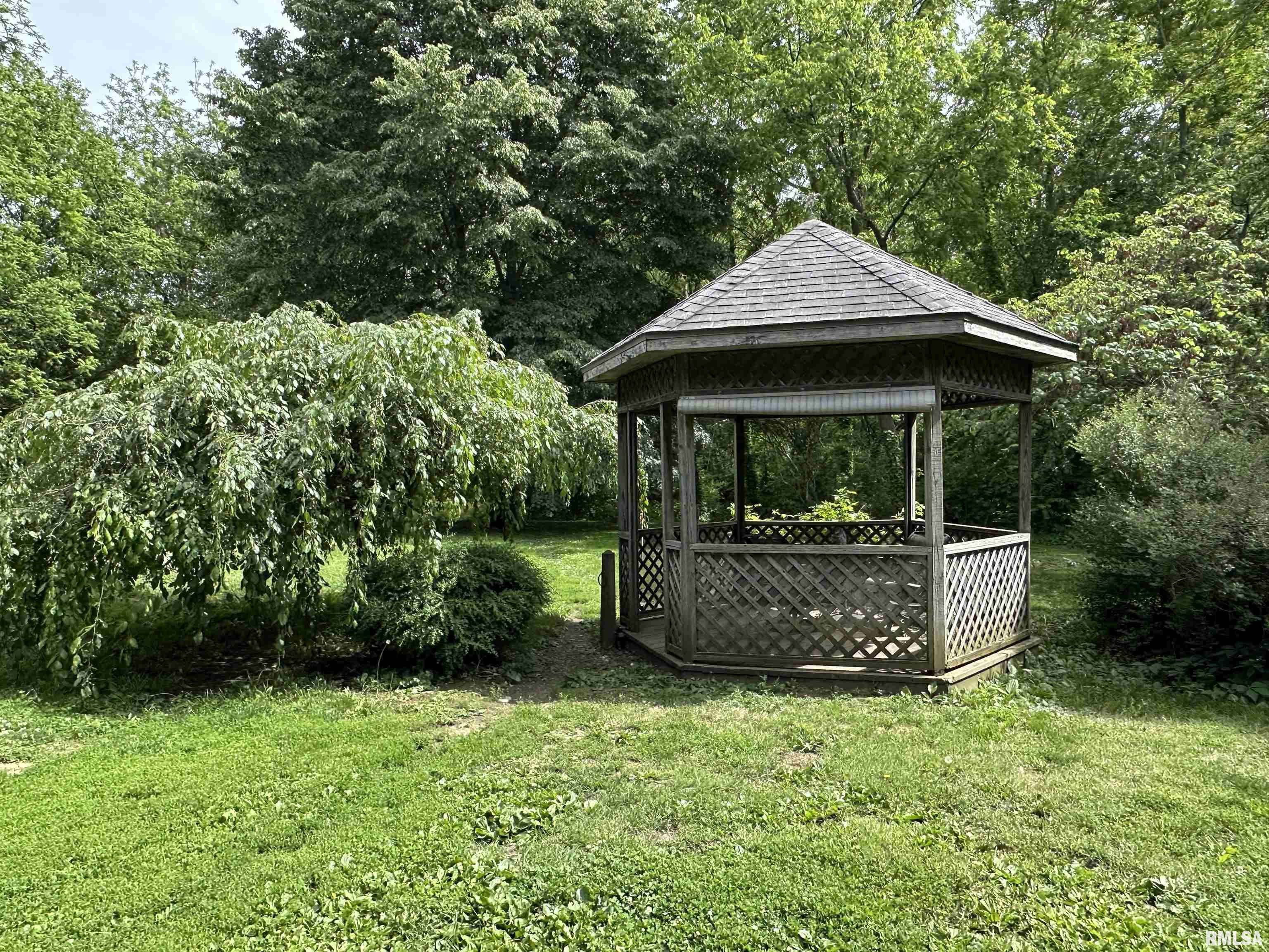 322 E Vernon Street, Farmington, Illinois image 5