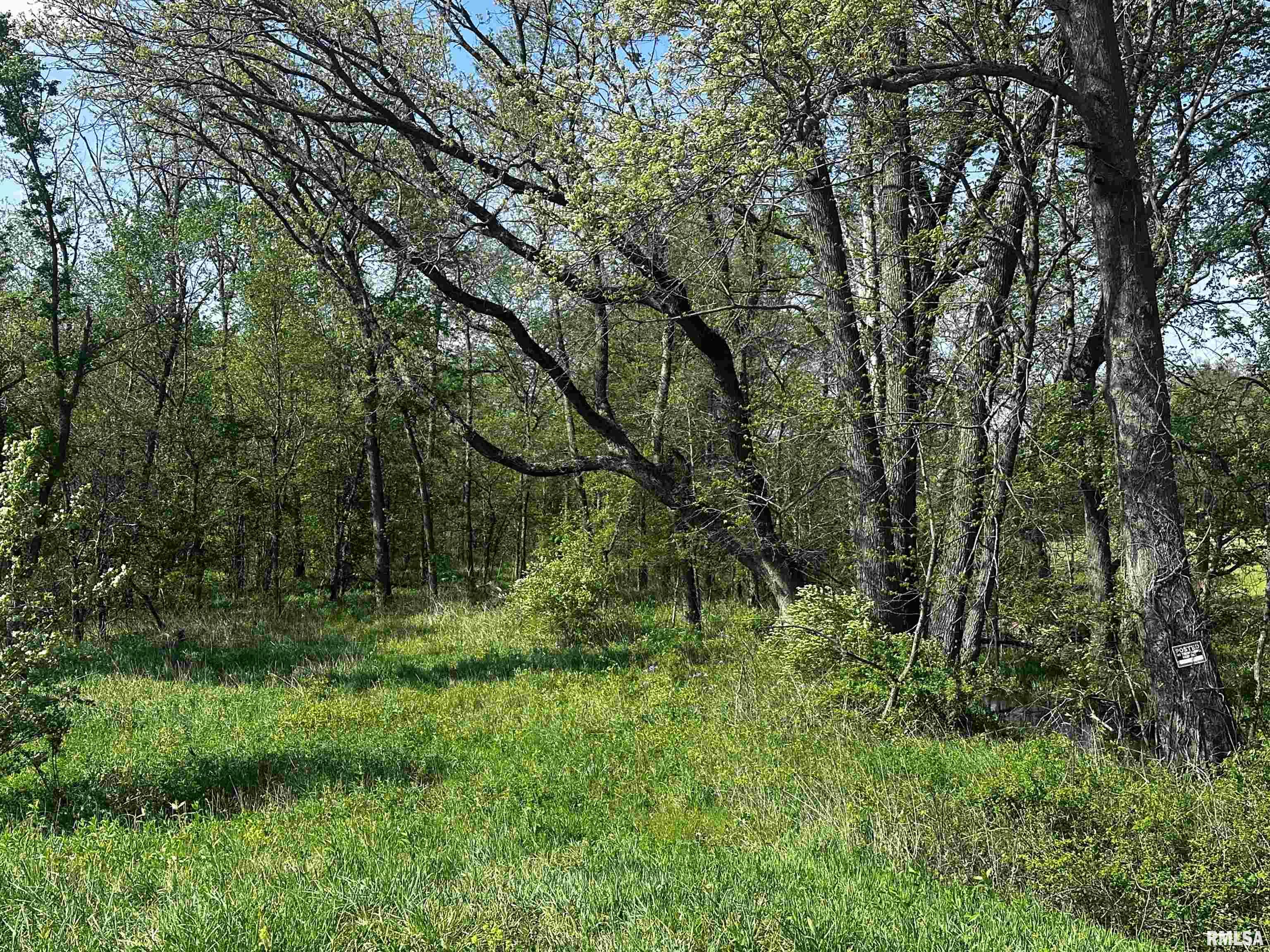 1812-1890 Hazel Dell Road, Greenup, Illinois image 7