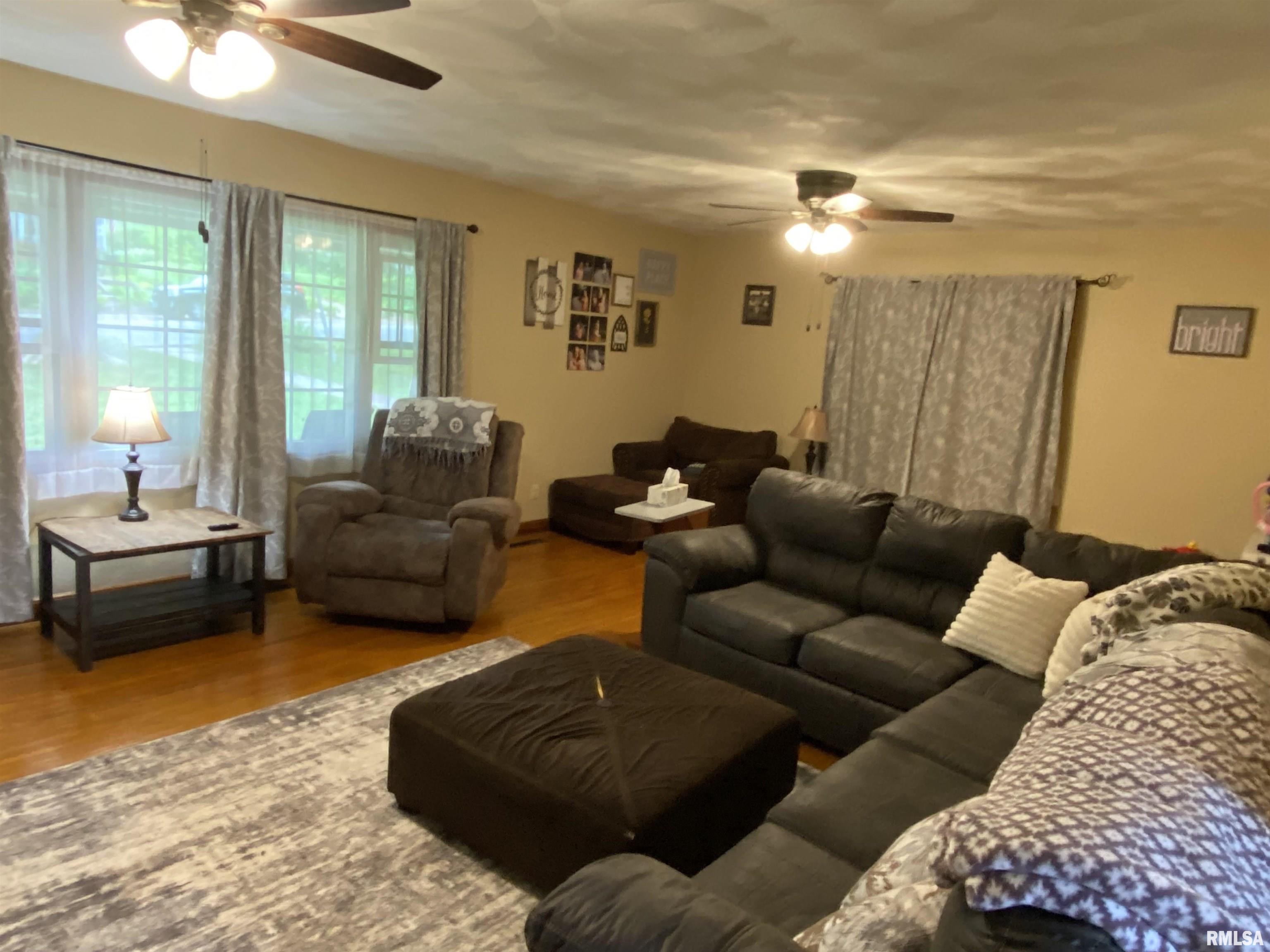 490 W Pine Street, Canton, Illinois image 4