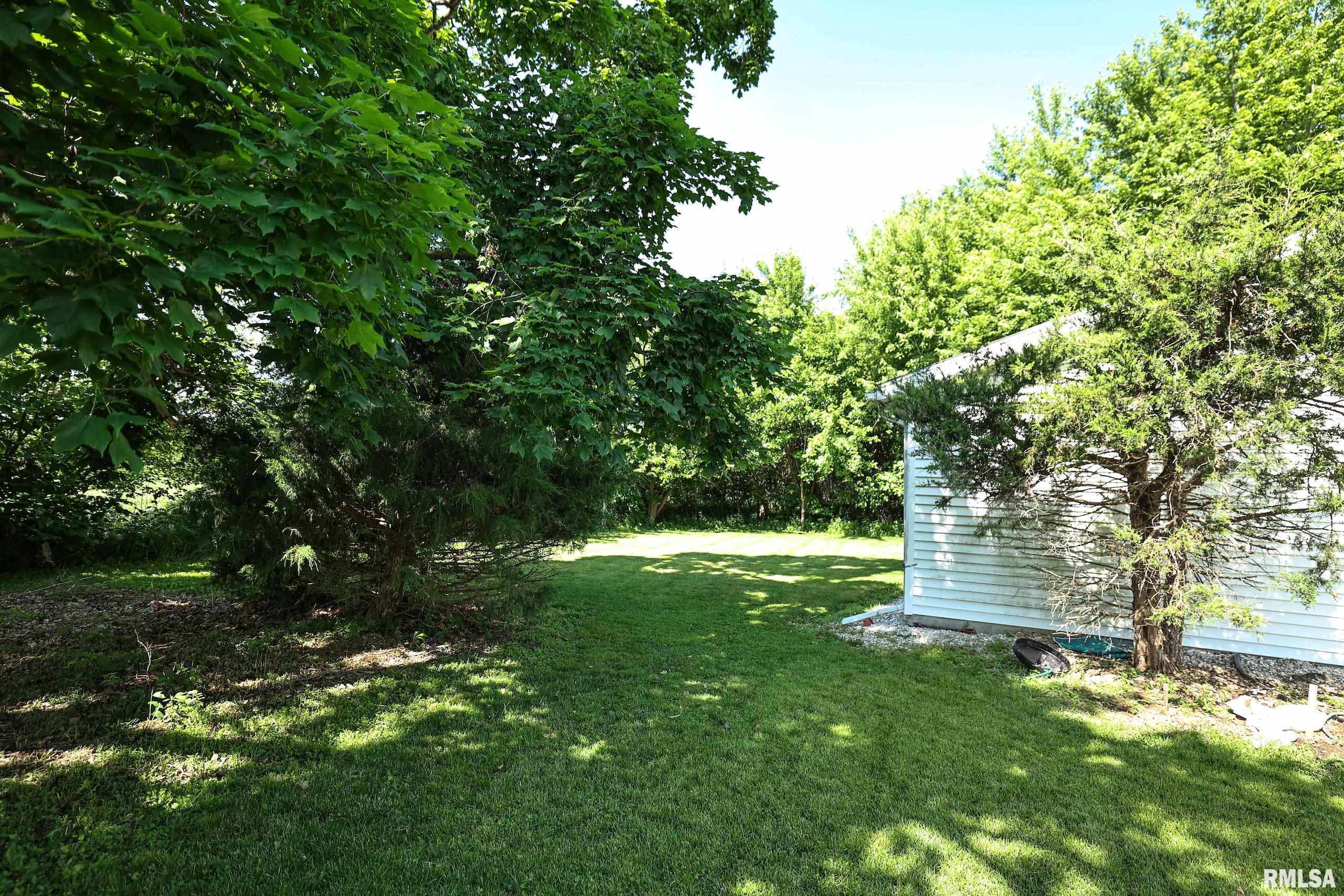 8739 E Turner Highway, Astoria, Illinois image 23