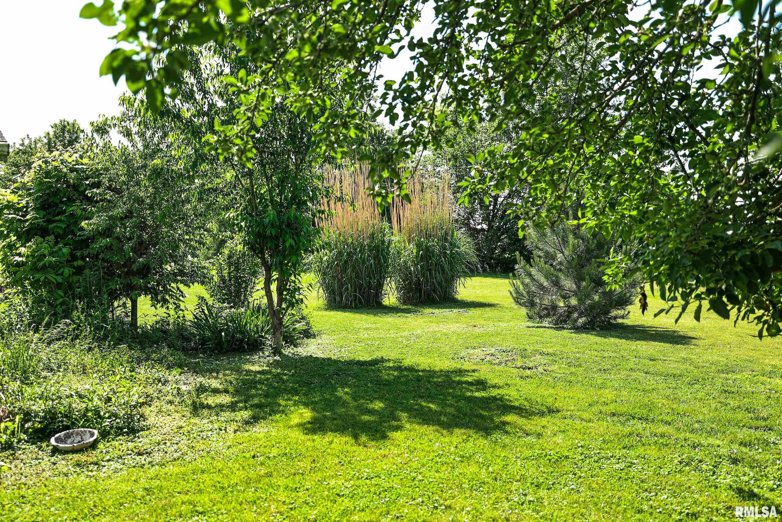 8739 E Turner Highway, Astoria, Illinois image 30