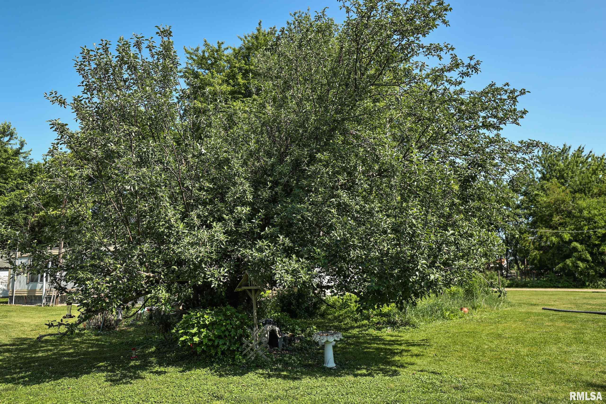 8739 E Turner Highway, Astoria, Illinois image 34