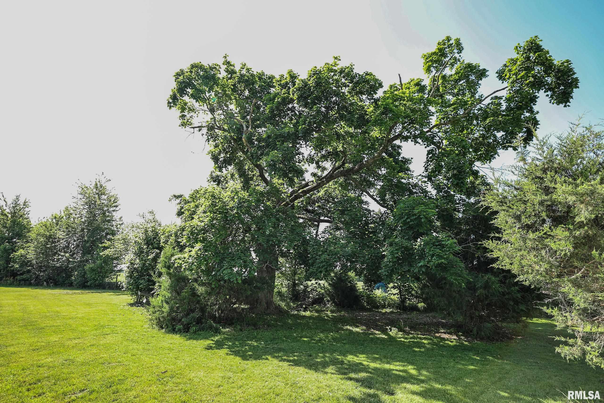 8739 E Turner Highway, Astoria, Illinois image 3