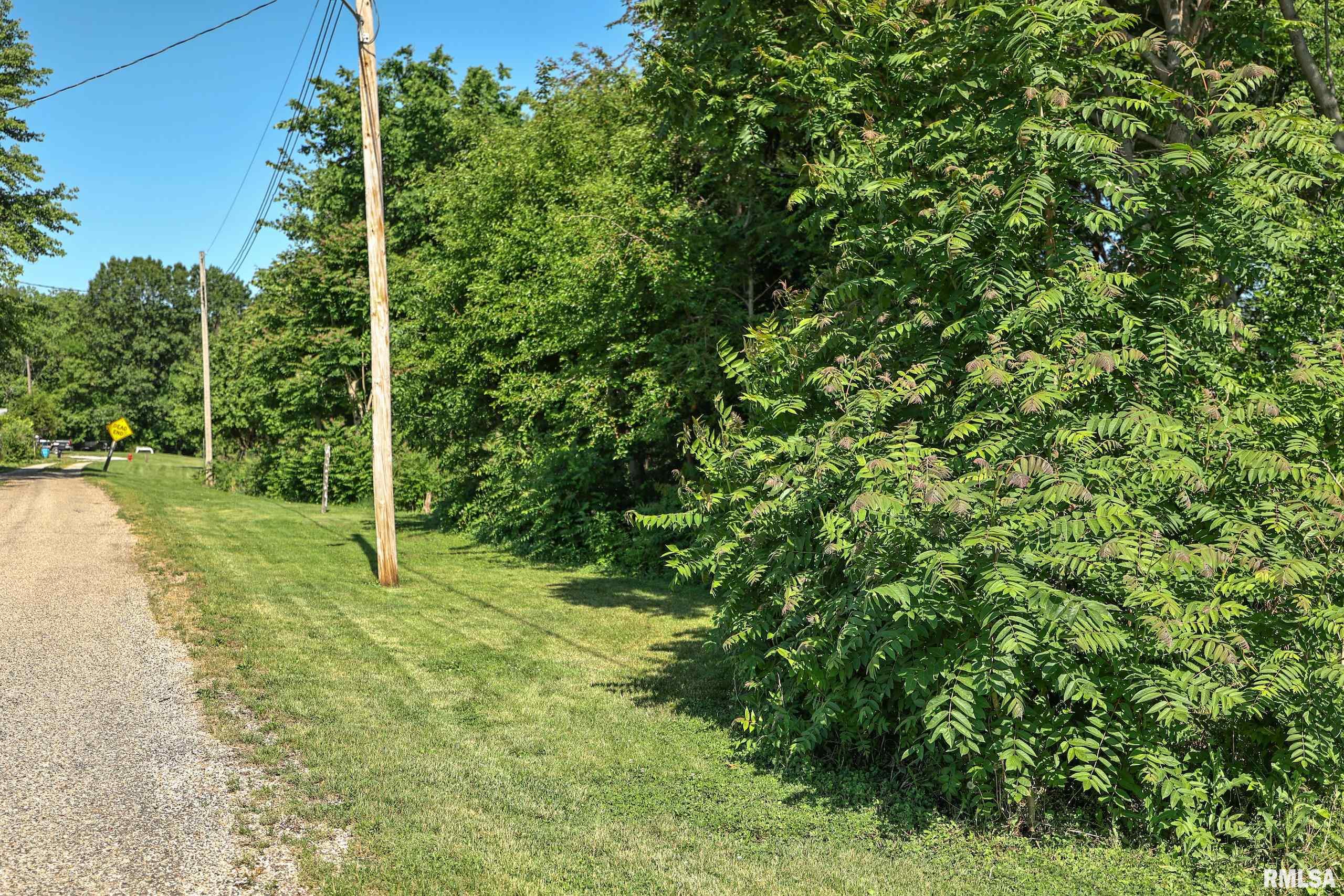 8739 E Turner Highway, Astoria, Illinois image 10