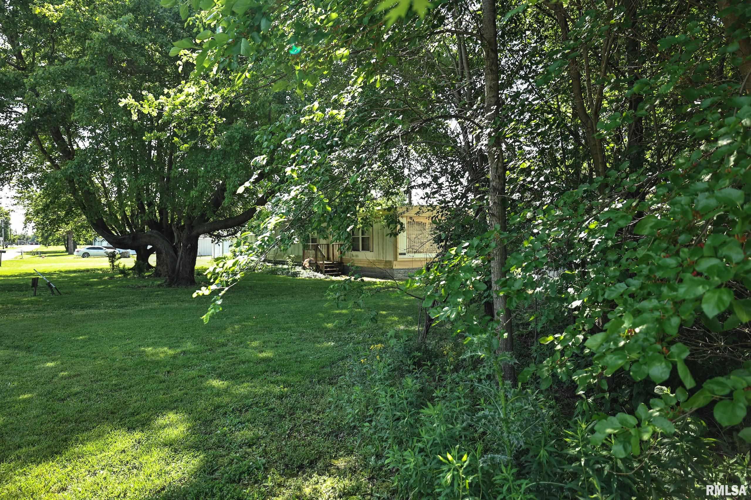 8739 E Turner Highway, Astoria, Illinois image 18