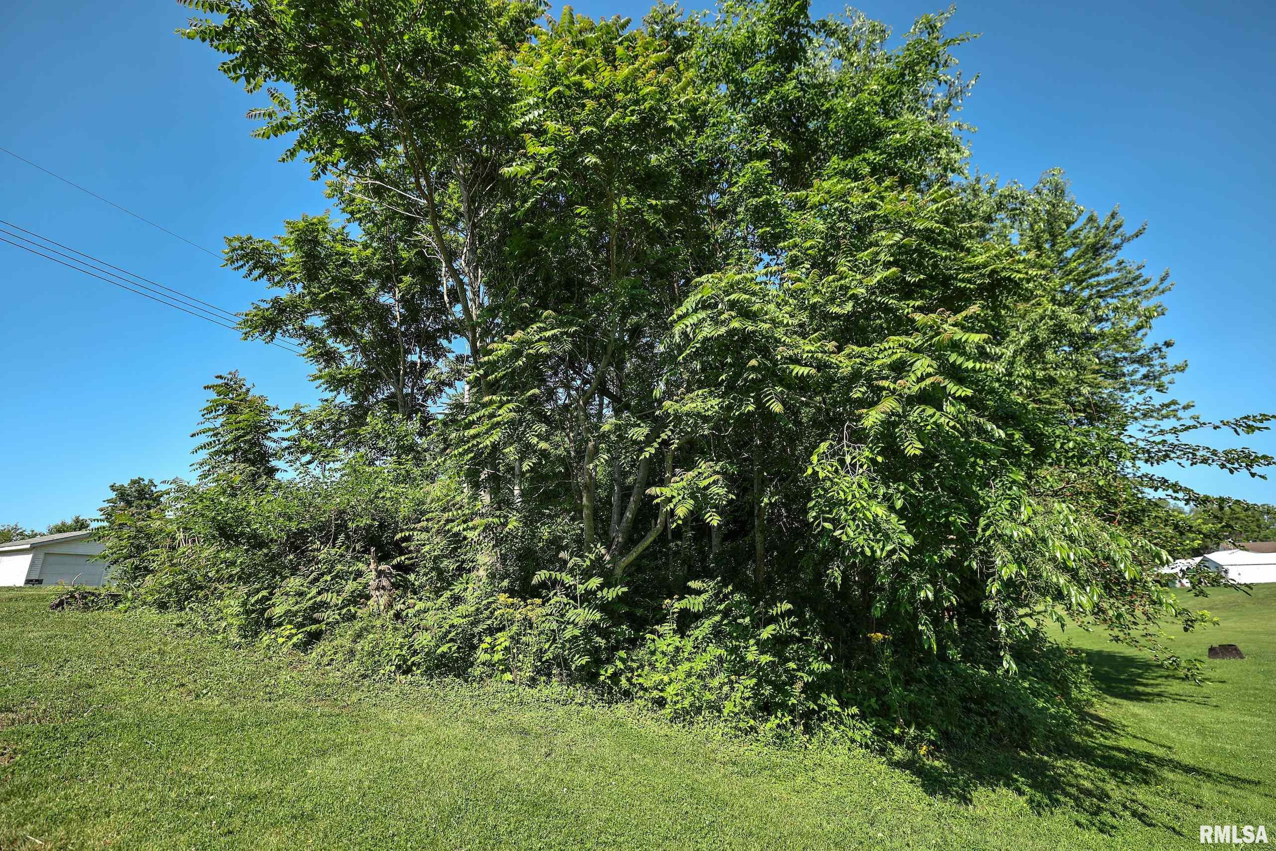 8739 E Turner Highway, Astoria, Illinois image 11