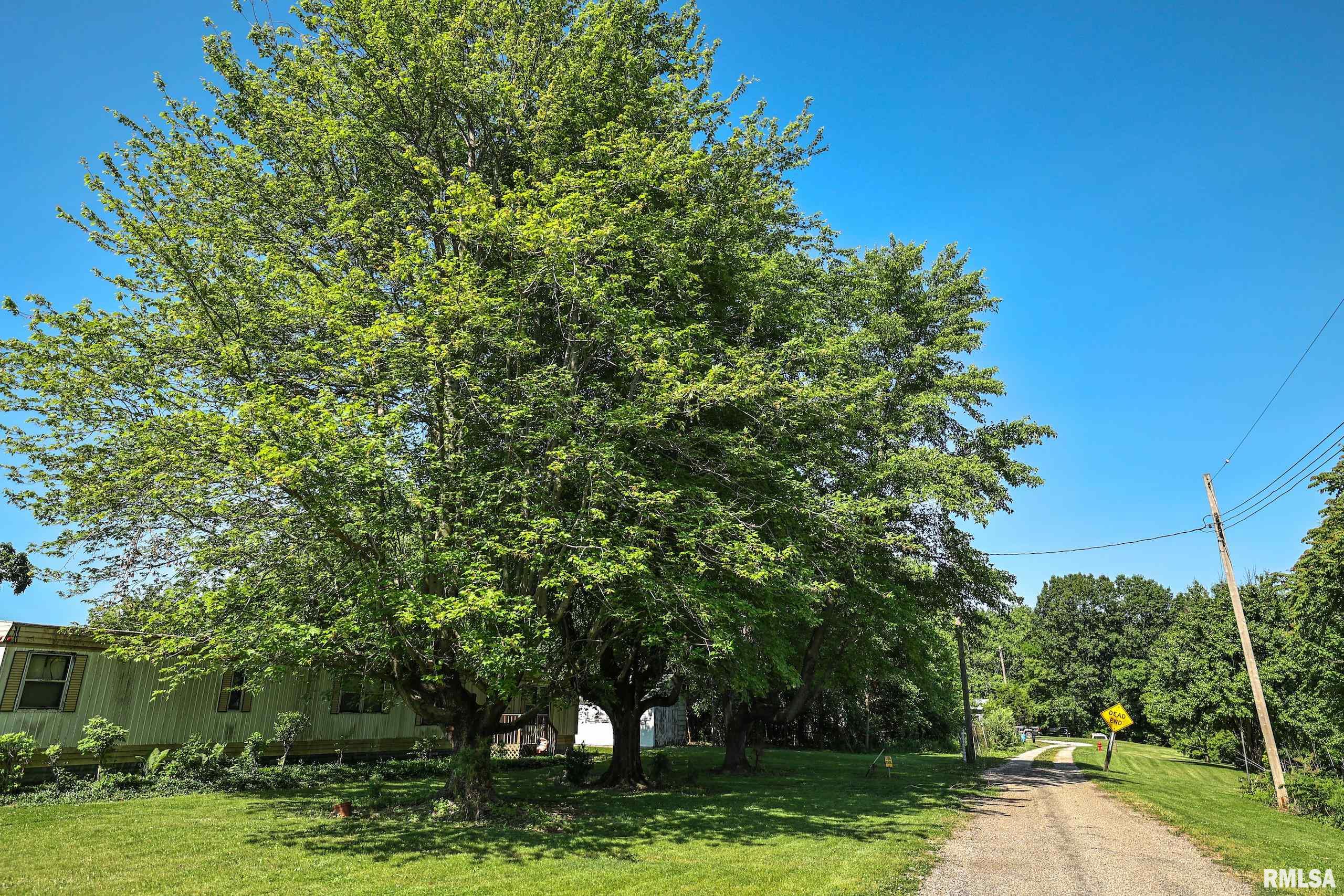 8739 E Turner Highway, Astoria, Illinois image 14