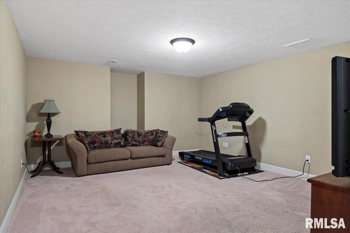 513 Northpoint Court, Chatham, Illinois image 34