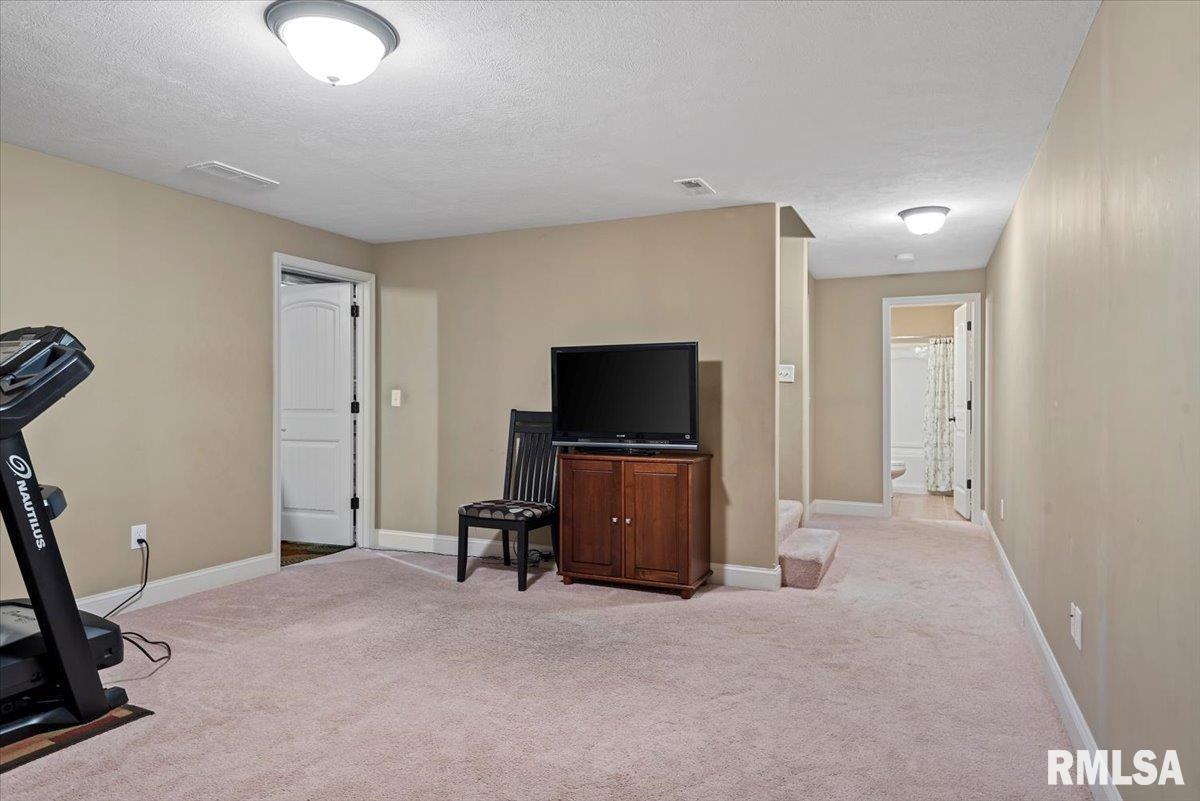 513 Northpoint Court, Chatham, Illinois image 35