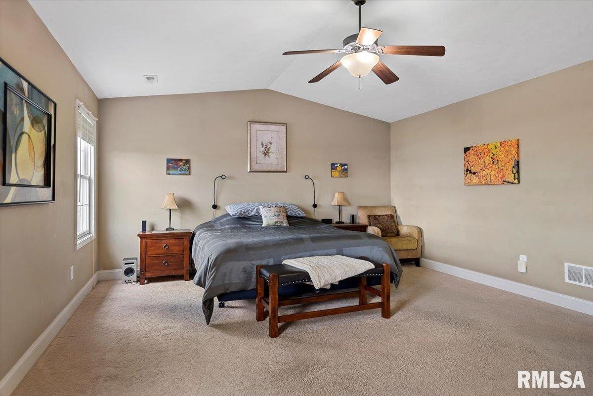 513 Northpoint Court, Chatham, Illinois image 20