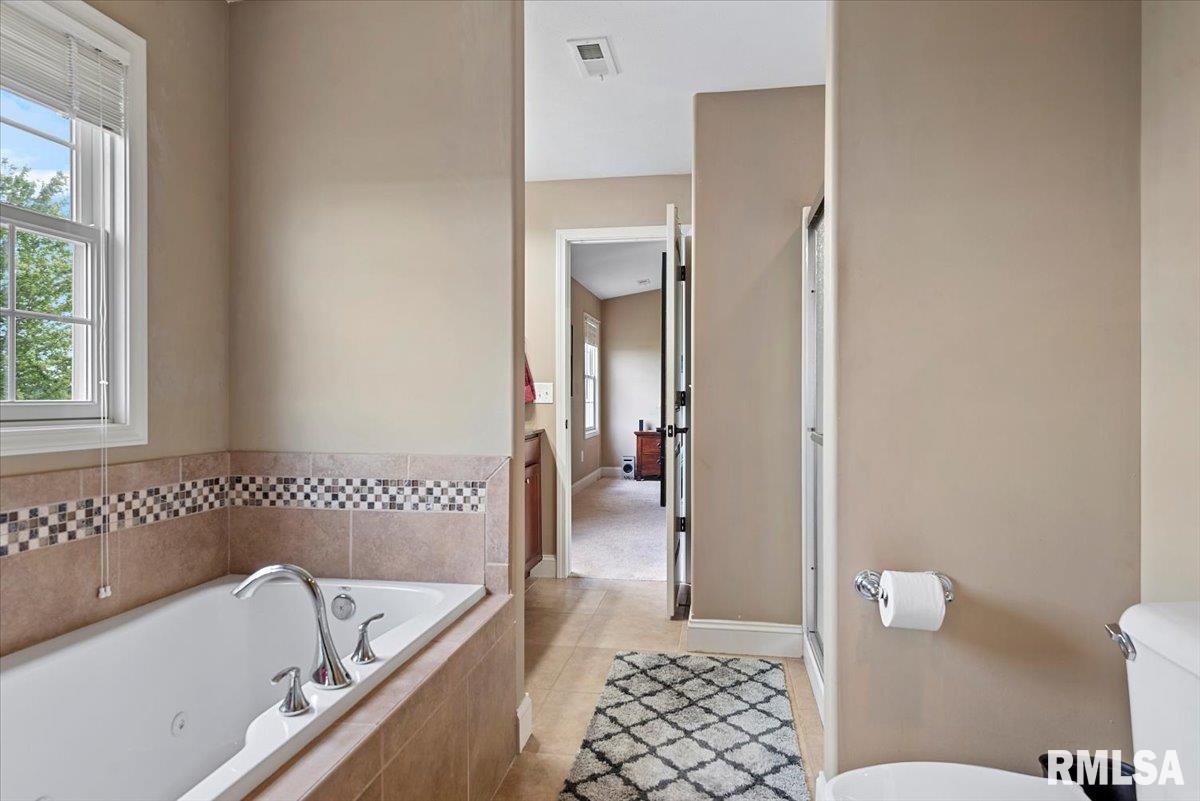 513 Northpoint Court, Chatham, Illinois image 24