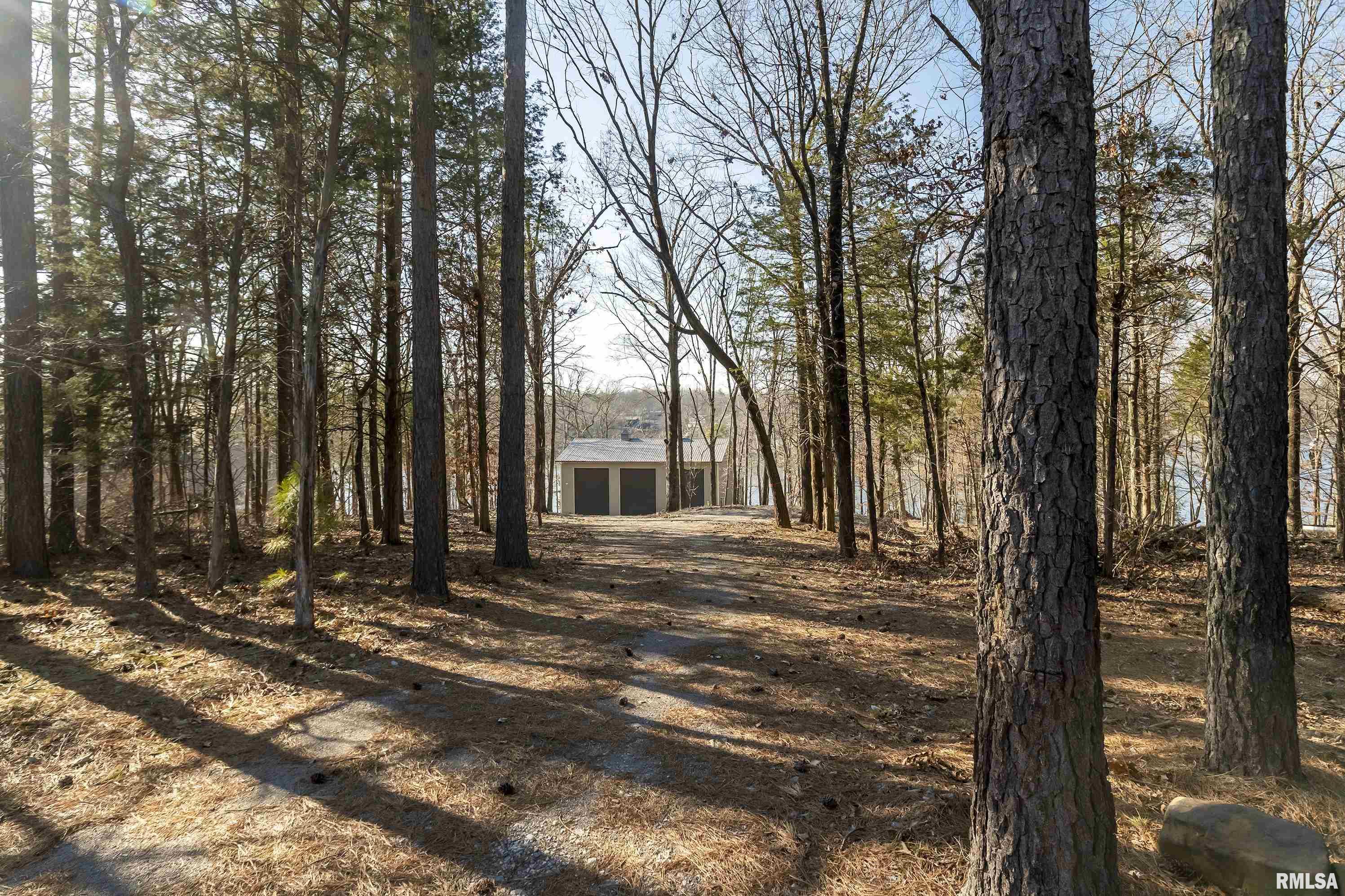 3675 Parrish Ridge Road, Goreville, Illinois image 2