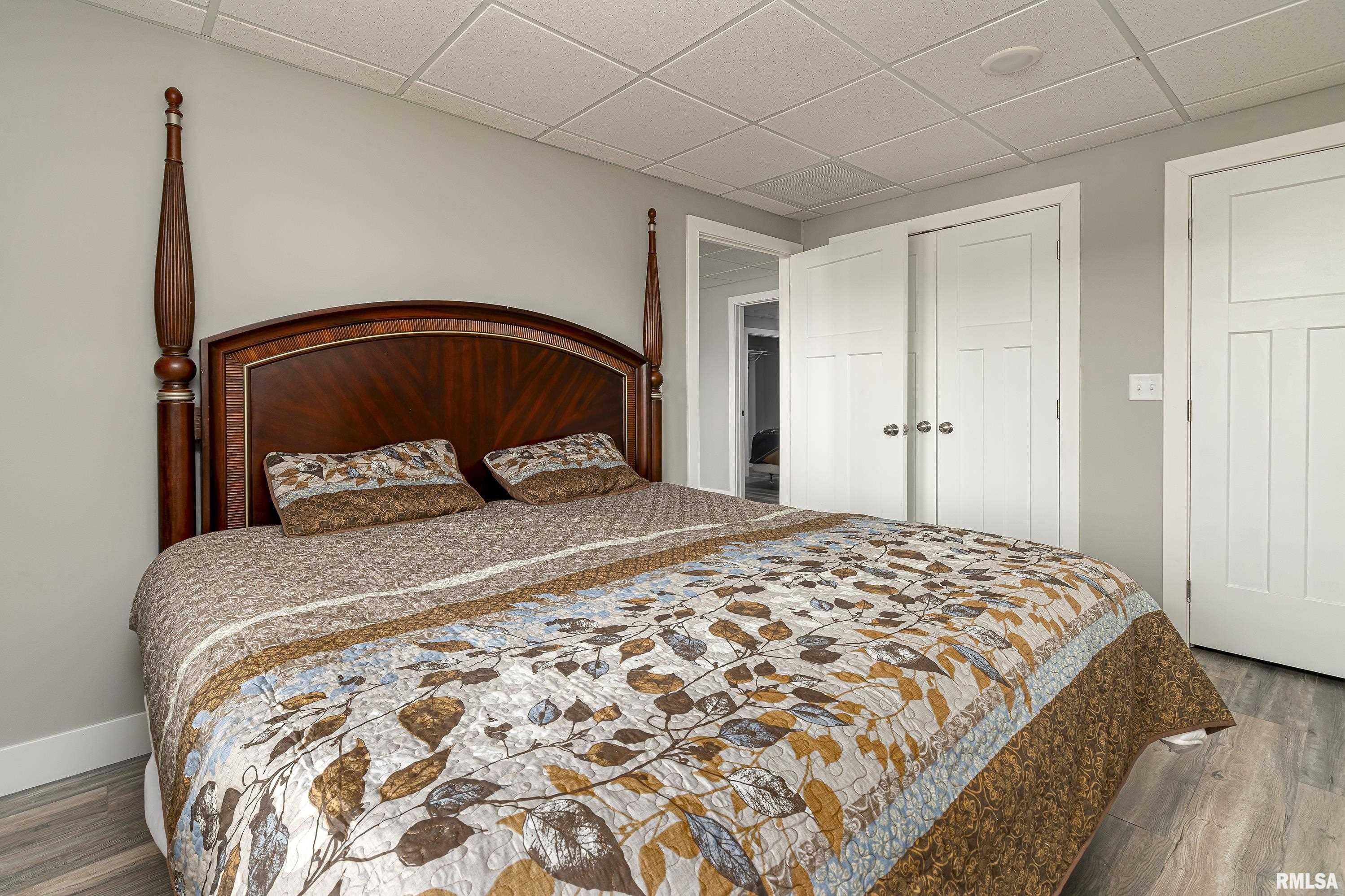 3675 Parrish Ridge Road, Goreville, Illinois image 28
