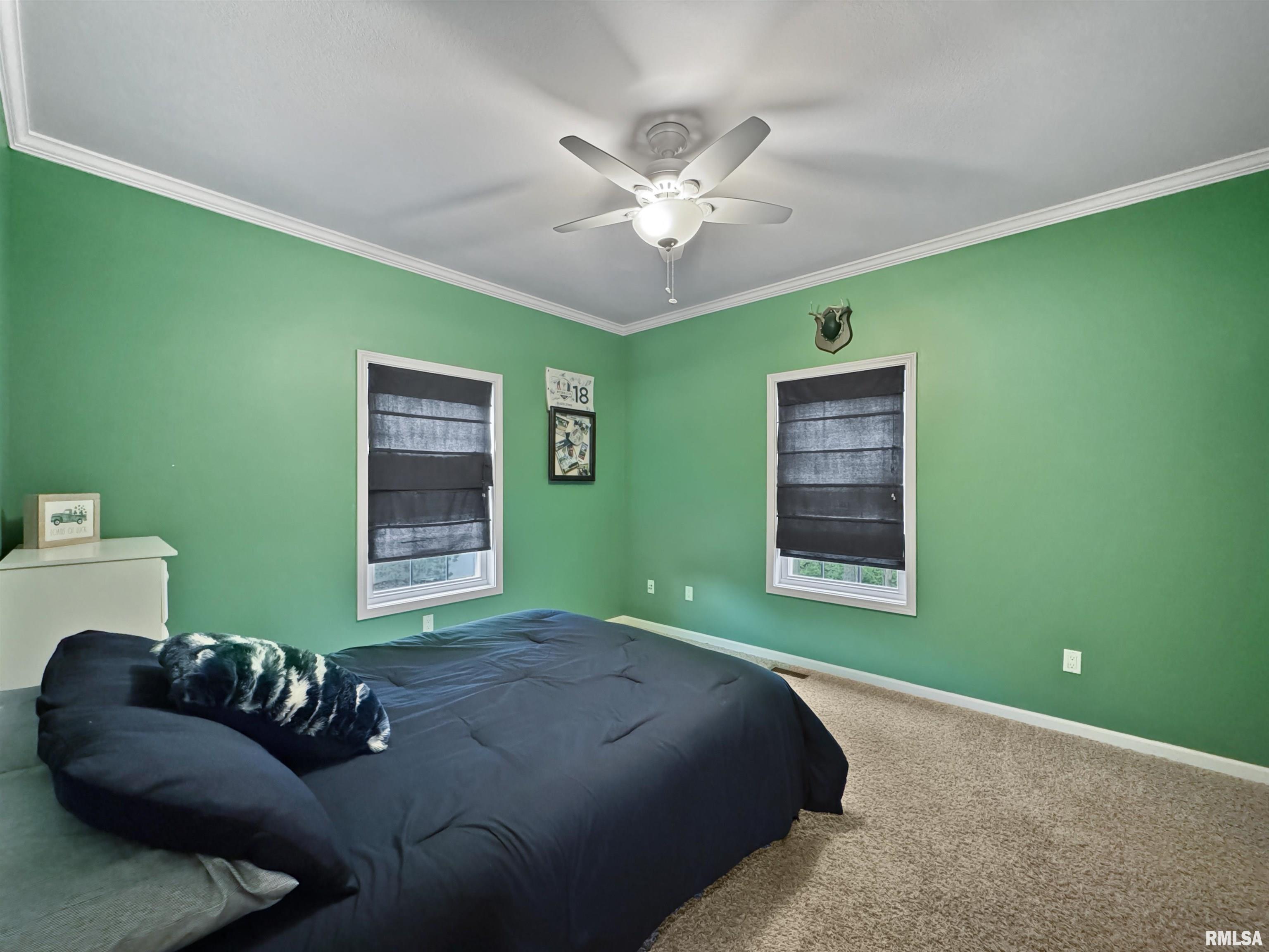 15317 N 7th Street, Chillicothe, Illinois image 27