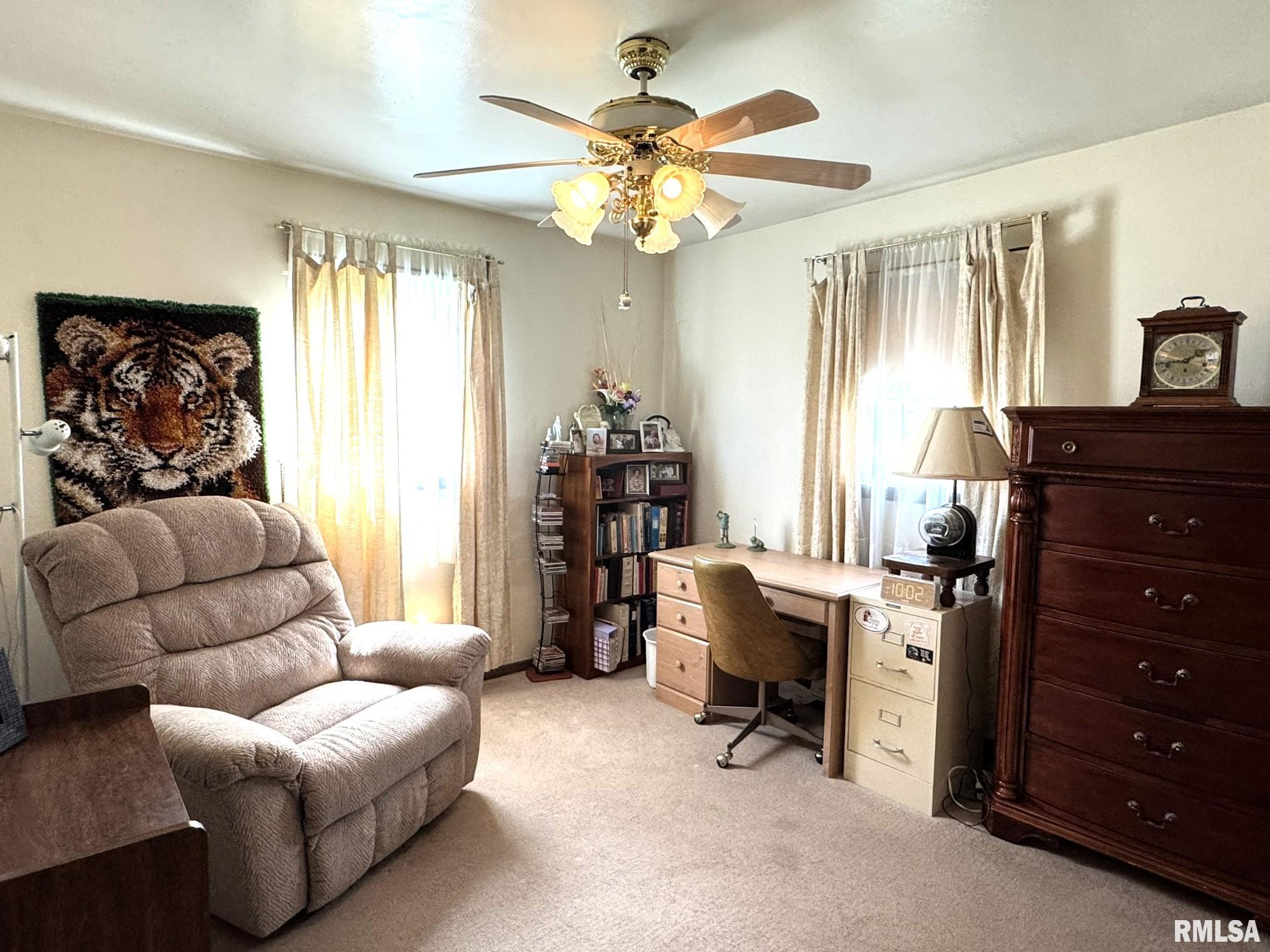 732 Hawkinson Avenue, Galesburg, Illinois image 20