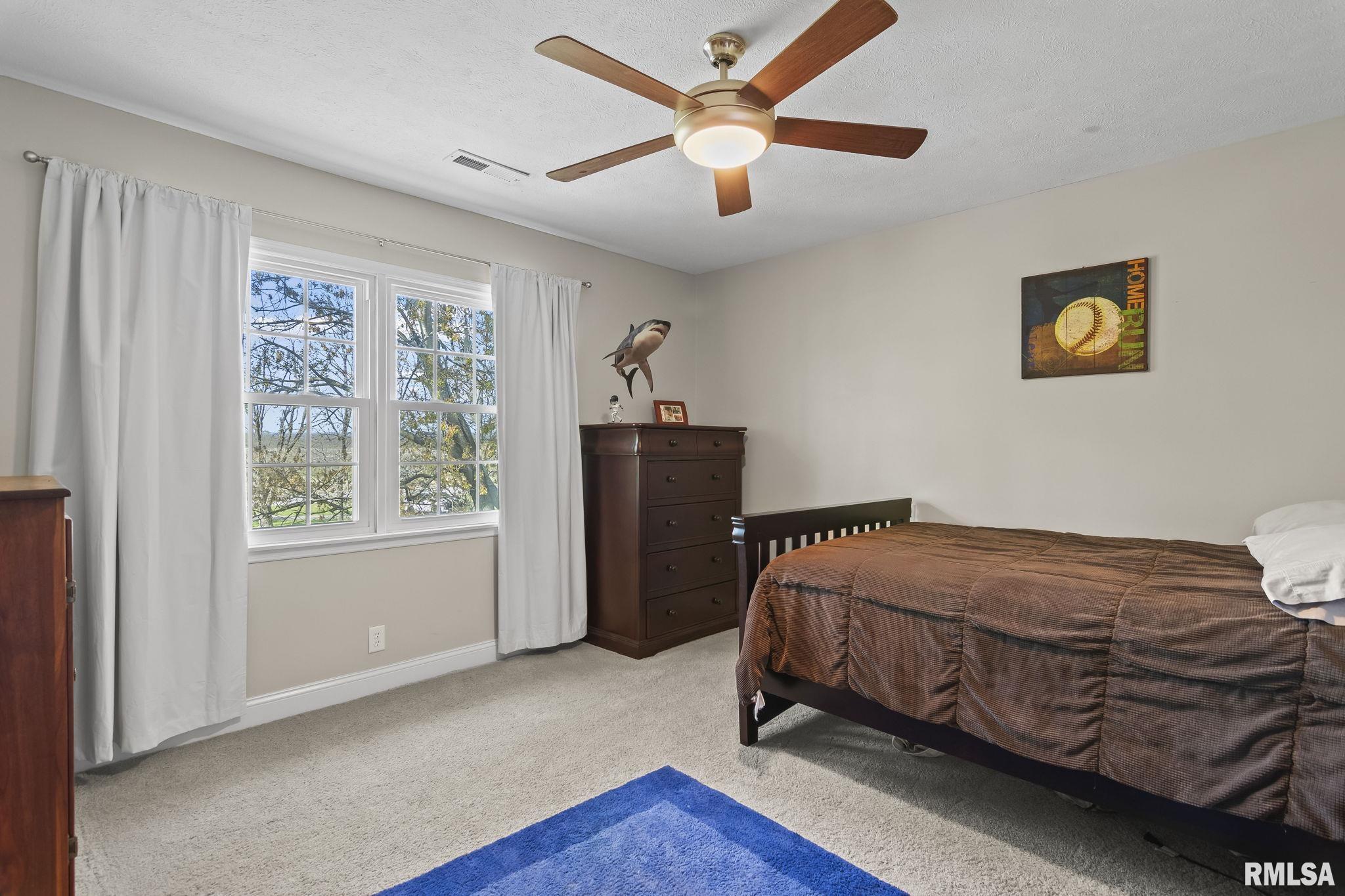13205 State Route 125 Road, Pleasant Plains, Illinois image 36
