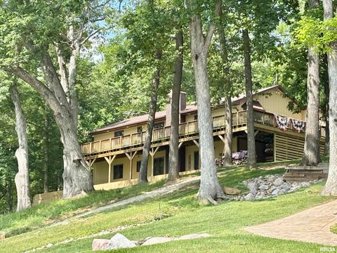 Homes For Sale - 296 Longshore Court<br/> Dahinda, IL 61428