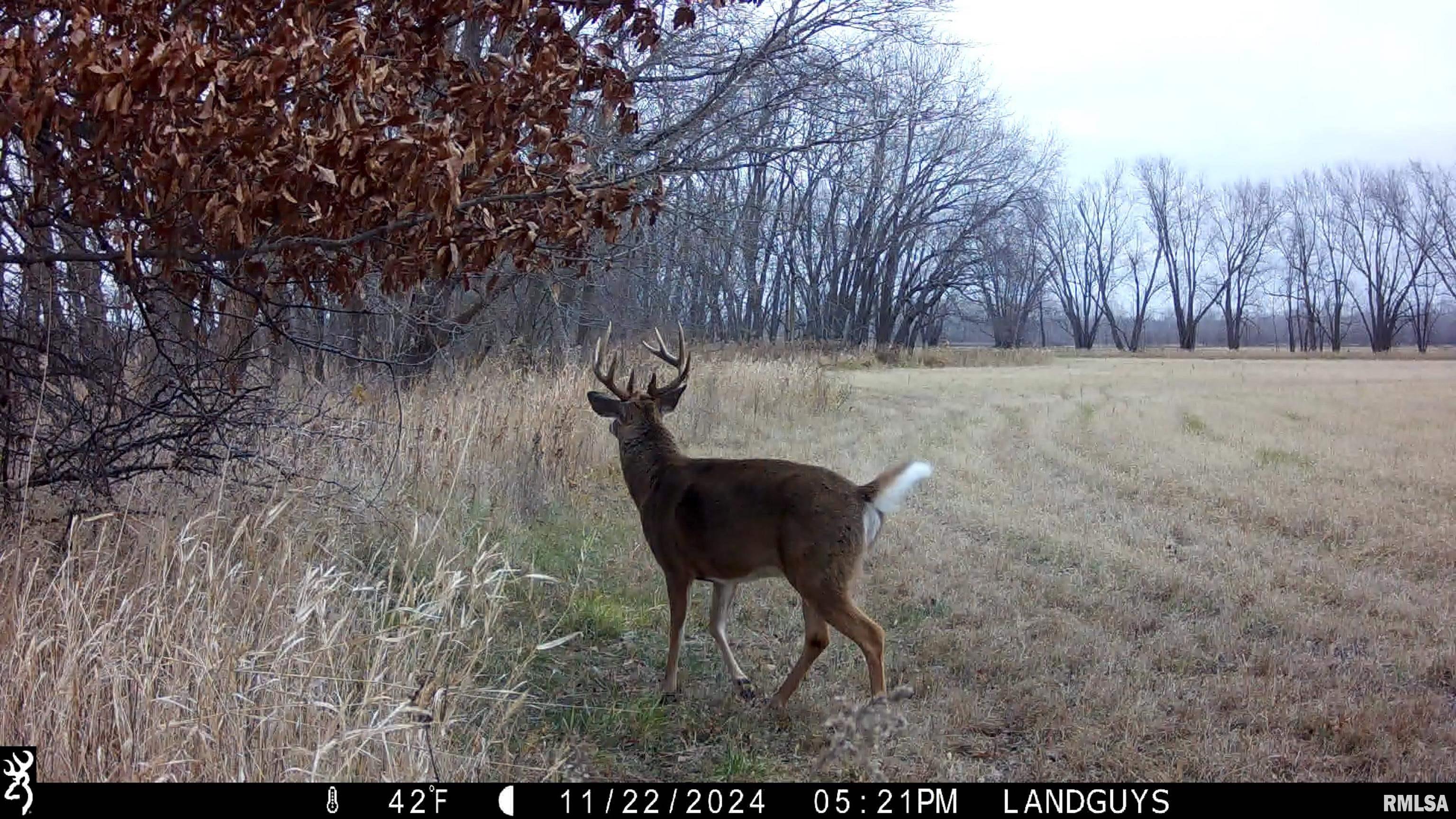 0000 1200 E Road, Maquon, Illinois image 35