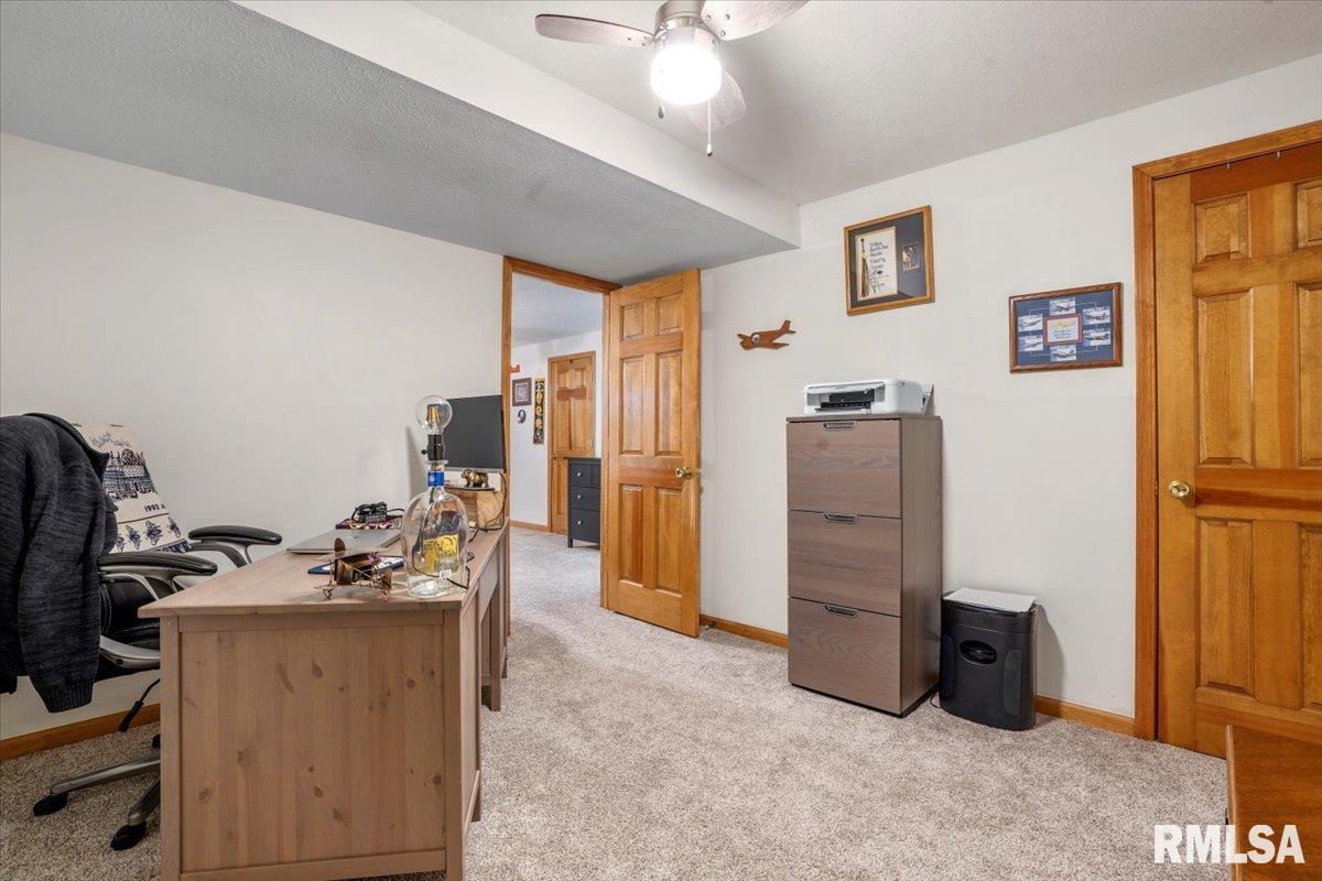2809 Hastings Road, Chatham, Illinois image 30