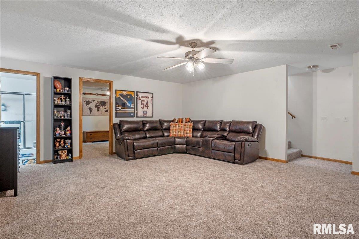 2809 Hastings Road, Chatham, Illinois image 28