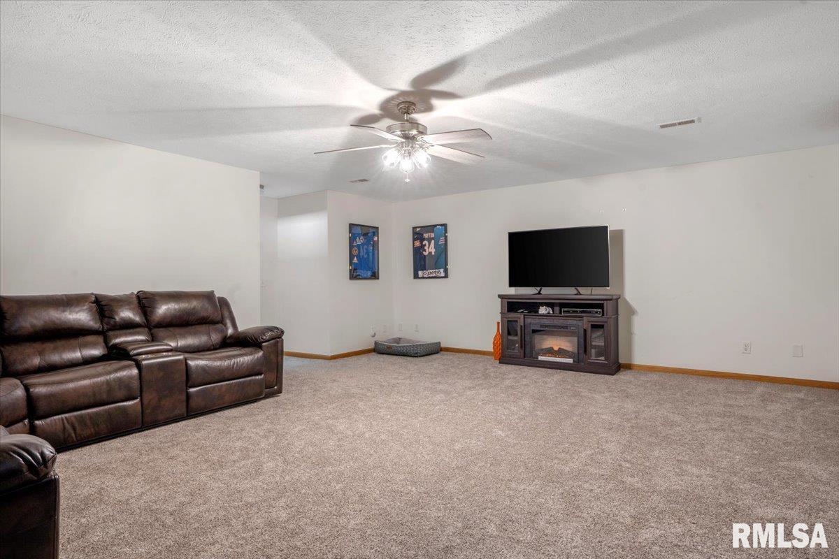 2809 Hastings Road, Chatham, Illinois image 29