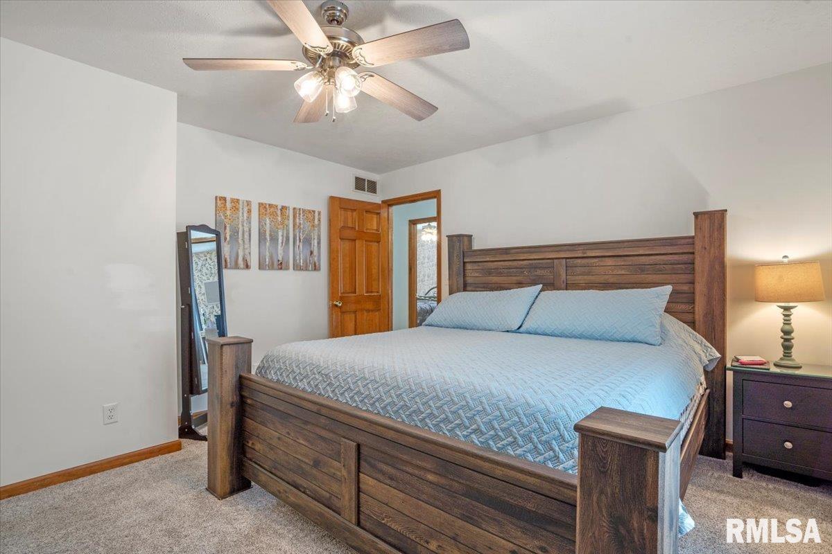 2809 Hastings Road, Chatham, Illinois image 15