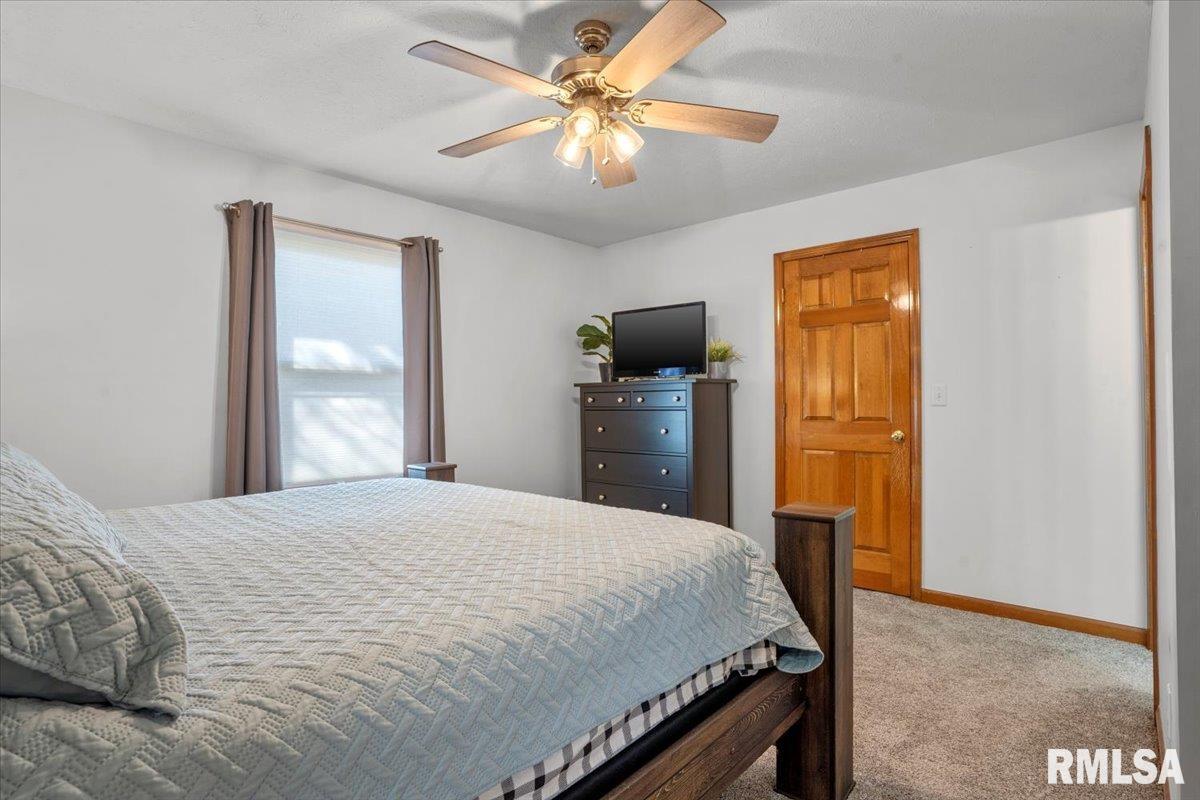 2809 Hastings Road, Chatham, Illinois image 16