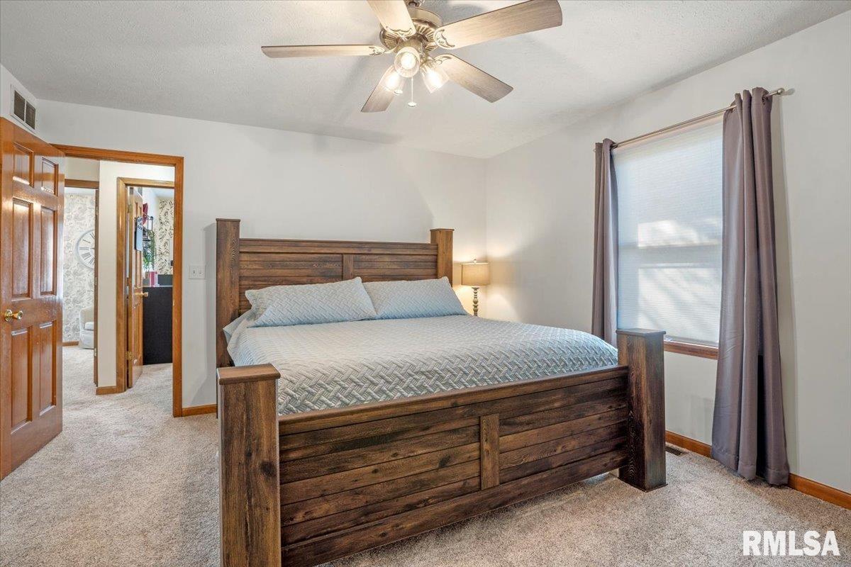 2809 Hastings Road, Chatham, Illinois image 17