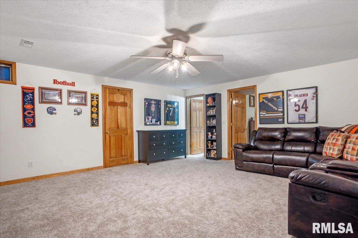 2809 Hastings Road, Chatham, Illinois image 27