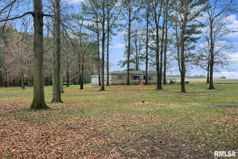 Homes For Sale - 215 Scout Cabin Road<br/> Carterville, IL 62918