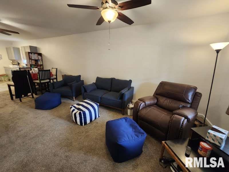 2029 W Callender Avenue, West Peoria, Illinois image 30