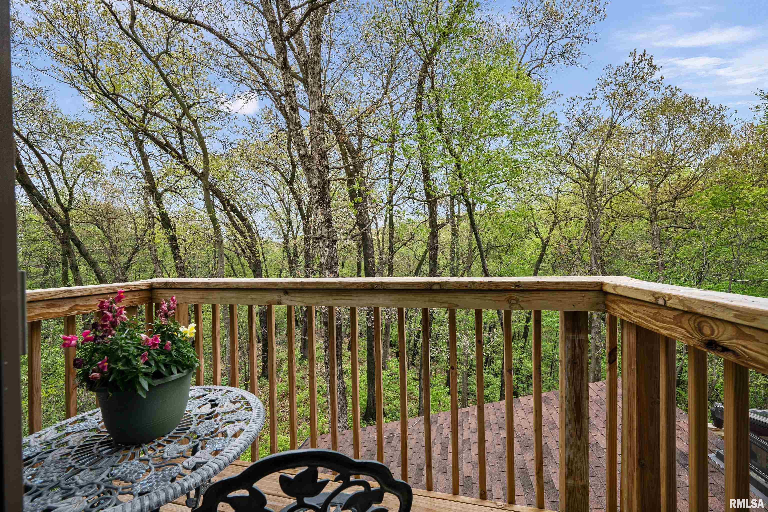703 1st Street, Coal Valley, Illinois image 47