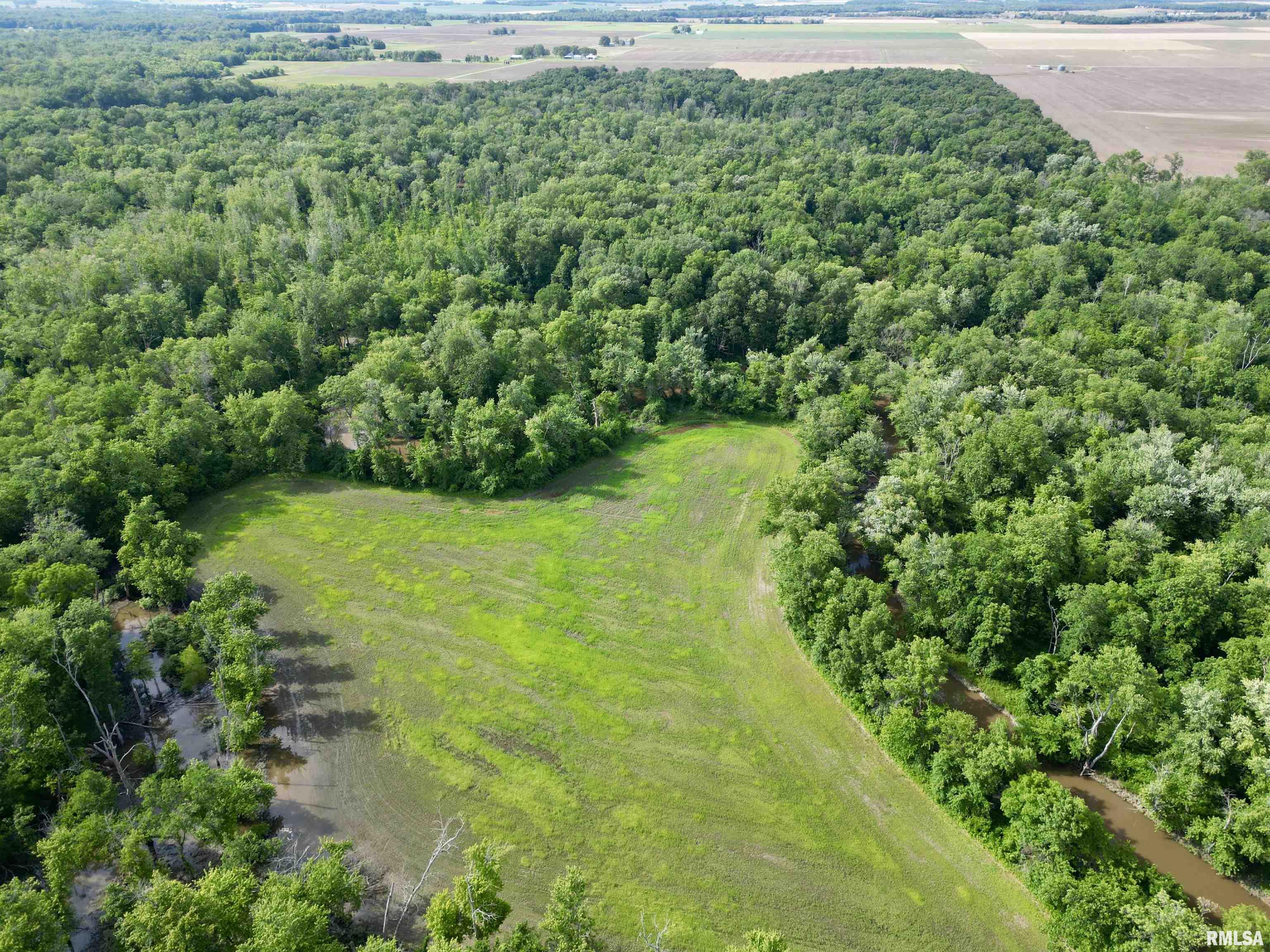 000 Sassafras Road, Hoyleton, Illinois image 3