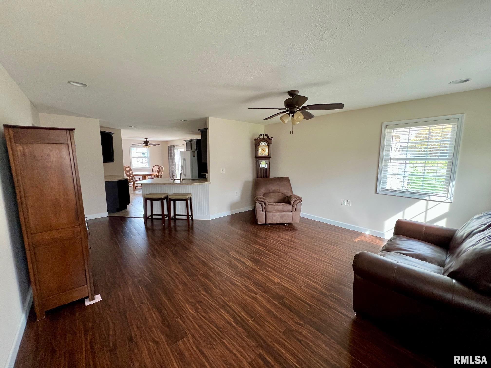 313 S 10th Street, Petersburg, Illinois image 2