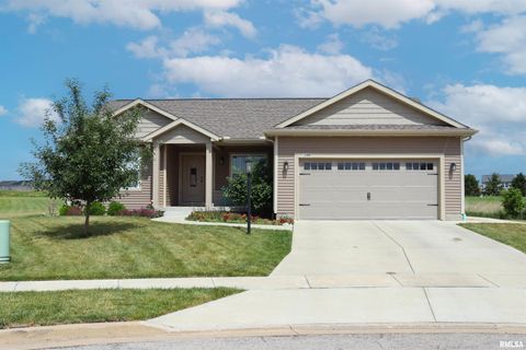 Homes For Sale - 1244 Brown Court<br/> Washington, IL 61571