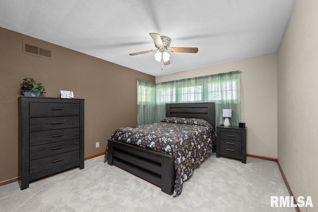 1016 265th Street, Hillsdale, Illinois image 23