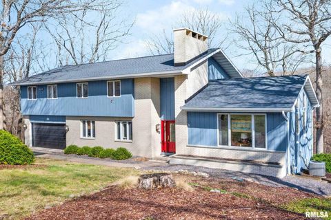 Homes For Sale - 1230 N Olde Farm Road<br/> Woodford County, East Peoria, IL 61611