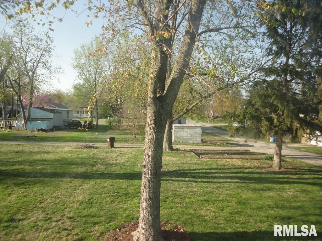 725 E Thompson Street, Taylorville, Illinois image 2