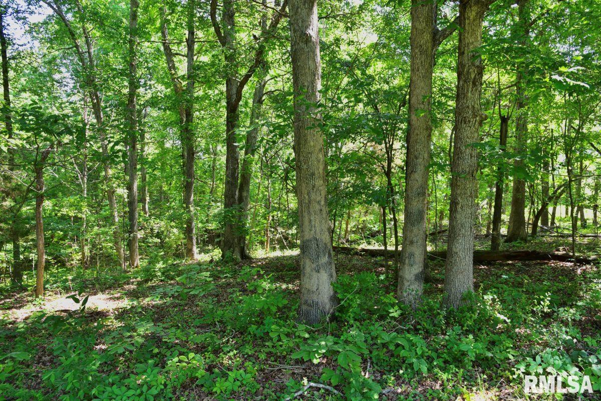 7059 Midway Road, Metropolis, Illinois image 50