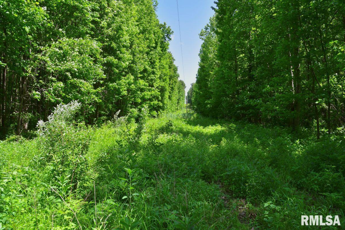 002 Robinson Hill Road, Stonefort, Illinois image 9