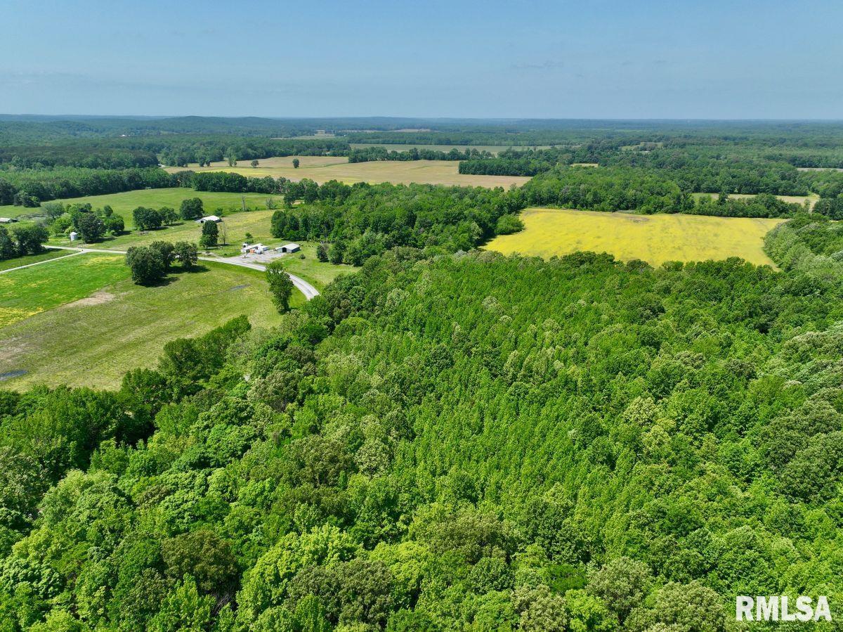 002 Robinson Hill Road, Stonefort, Illinois image 12