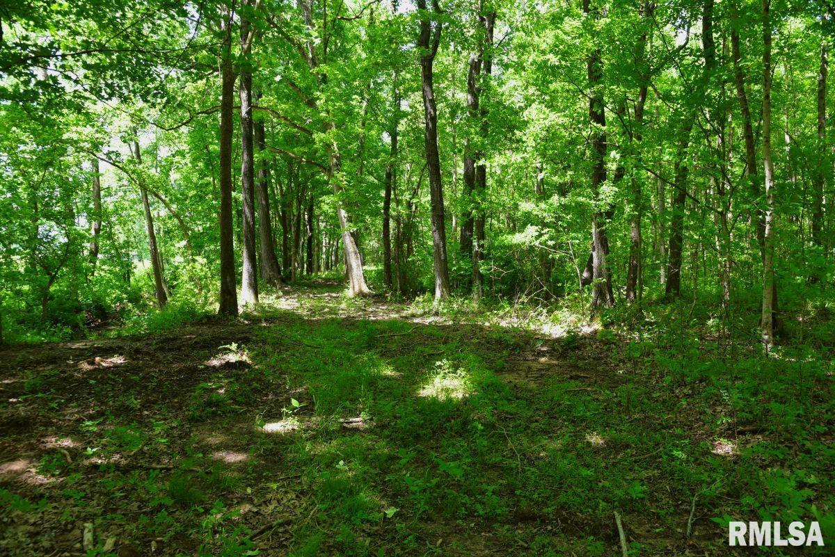 002 Robinson Hill Road, Stonefort, Illinois image 6