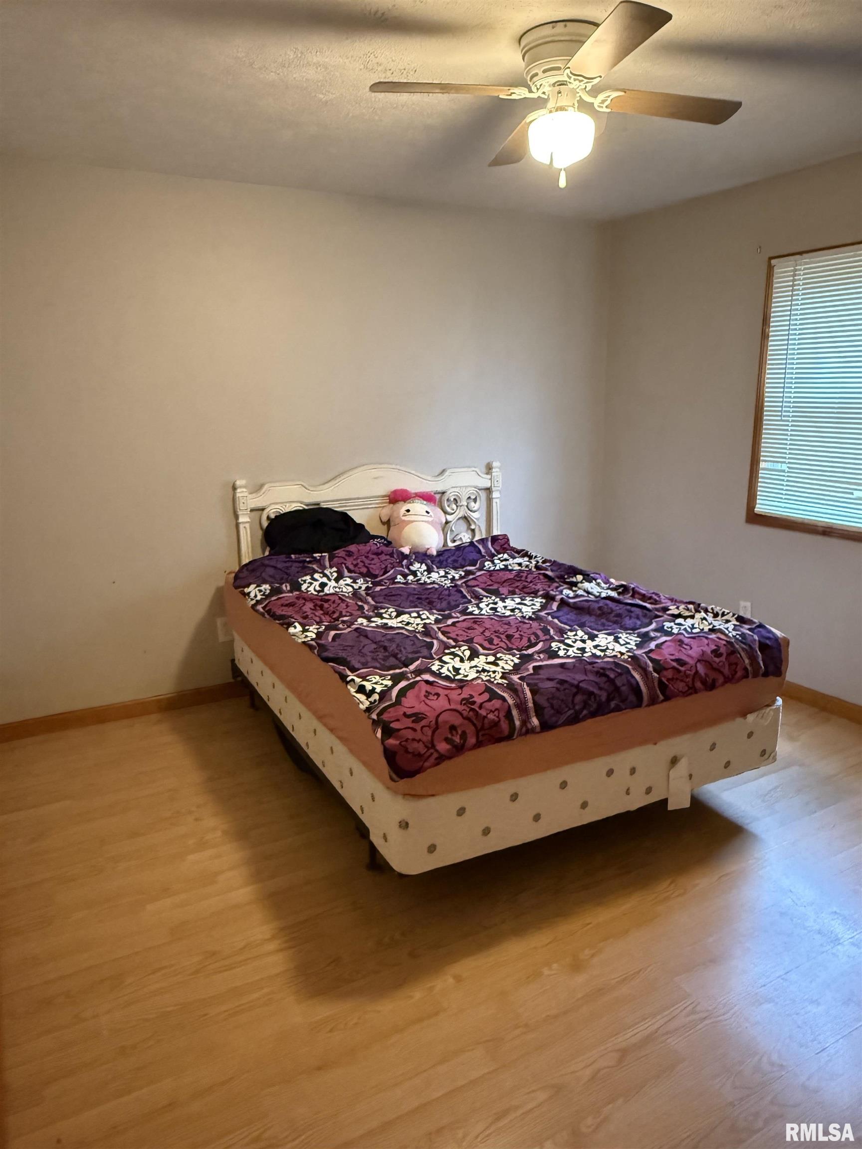 515 Morgan Street, Chapin, Illinois image 19