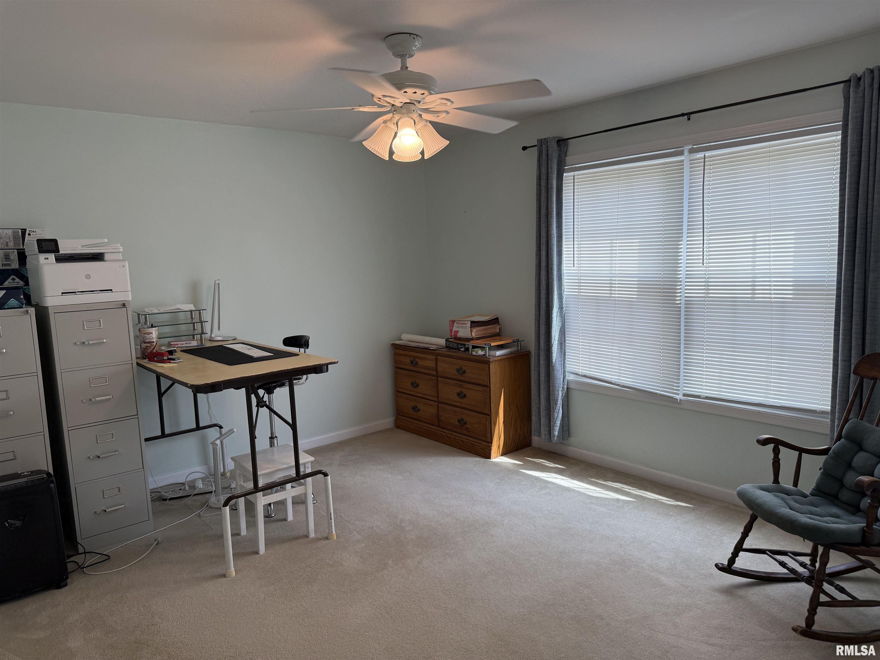 3511 W Brenwick Drive, Peoria, Illinois image 48